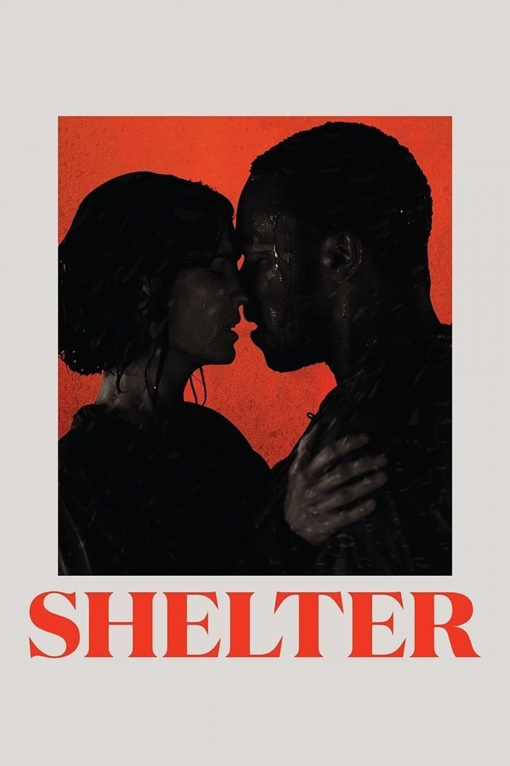 Постер Shelter